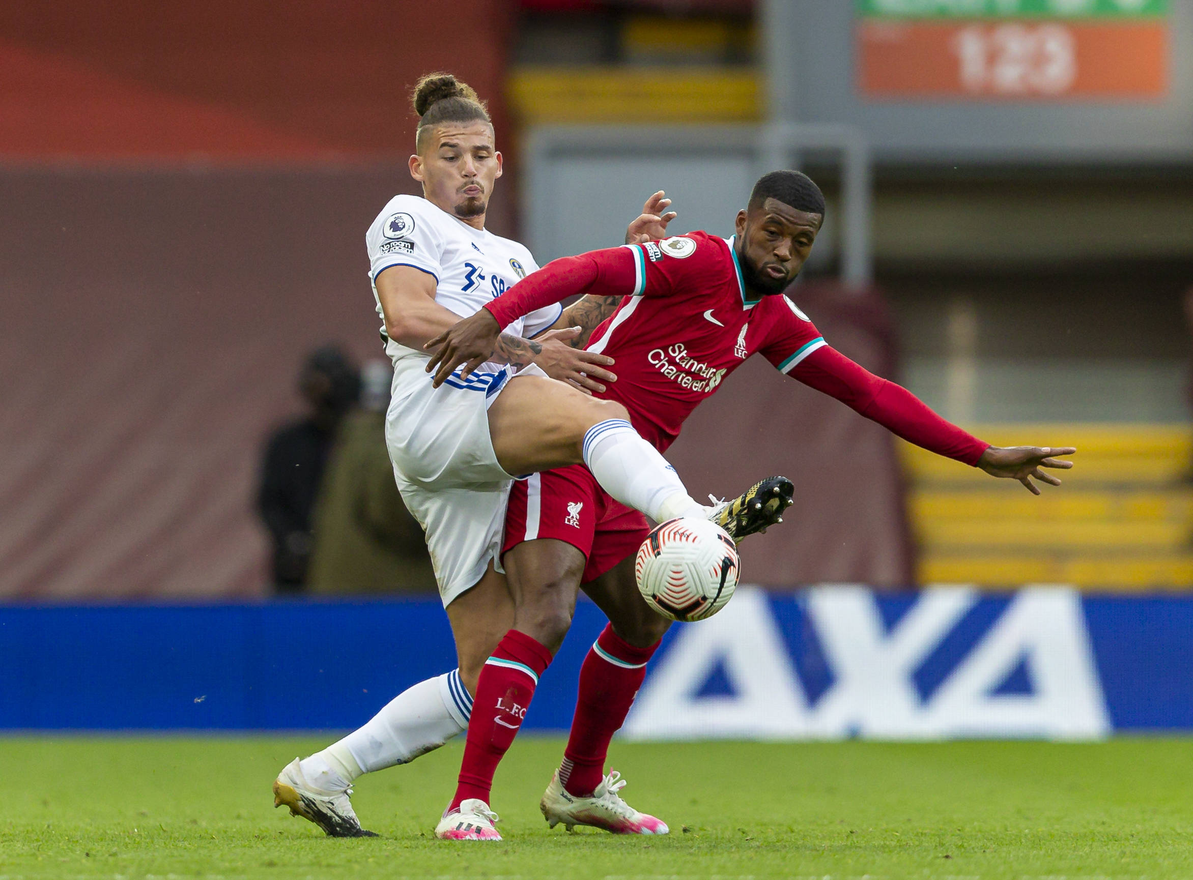 研究表明 研究表明